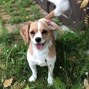 Meet your Posher, Brooke